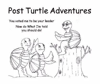 Post Turtle Adventures