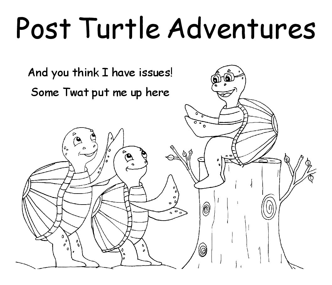 Post Turtle Adventures